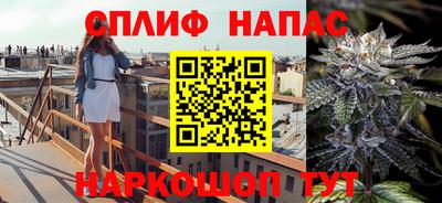 стаф Малгобек