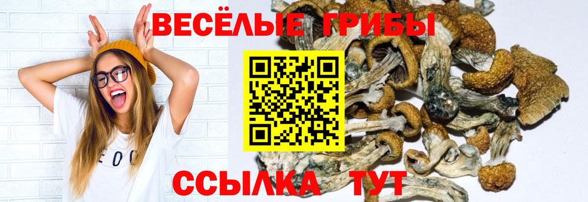 Псилоцибиновые грибы прущие грибы Воткинск