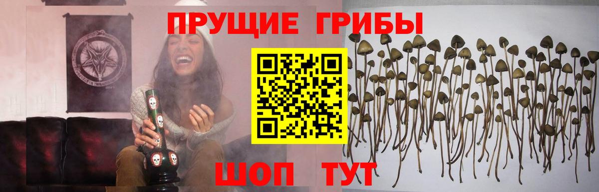Воткинск  Галлюциногенные грибы прущие грибы  Псилоцибиновые грибы GOLDEN TEACHER  Вход с VPN 